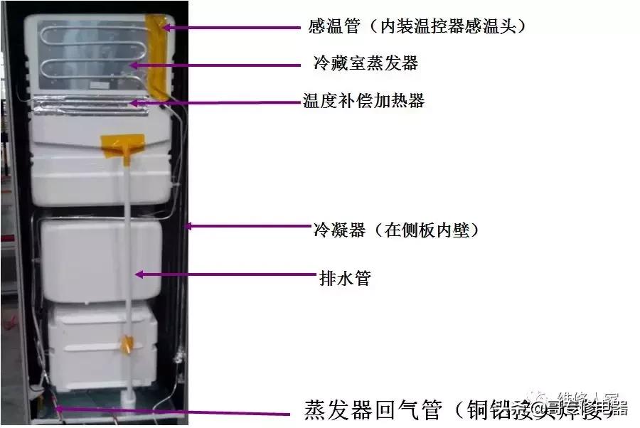 晶弘冰箱售后维修培训,晶弘冰箱的结构