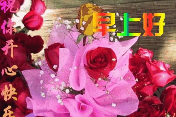 大家早上好祝福语动态图片大图,最新漂亮早上好祝福语动态表情图