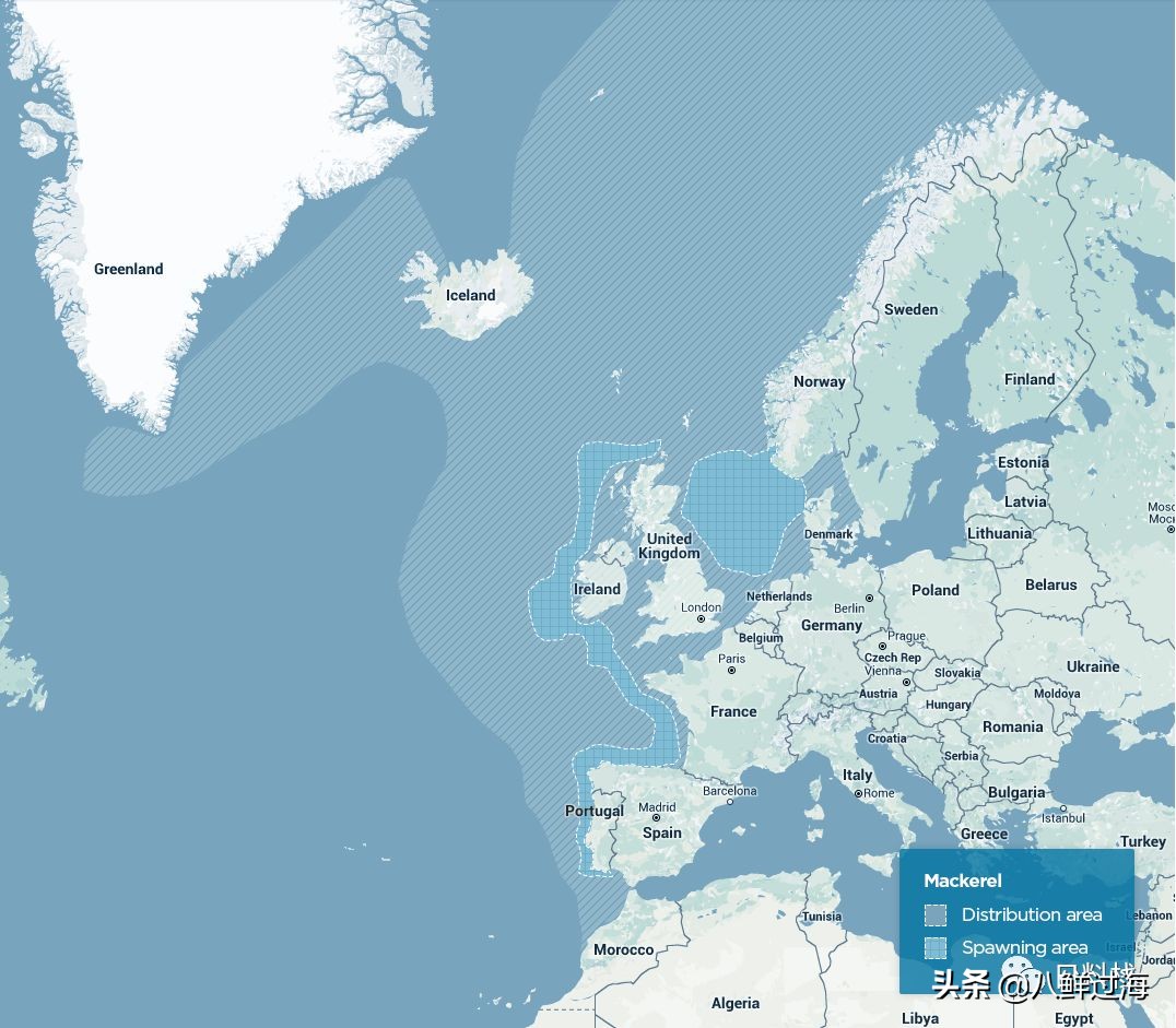 鲭鱼｜虽生犹死的那种境界……