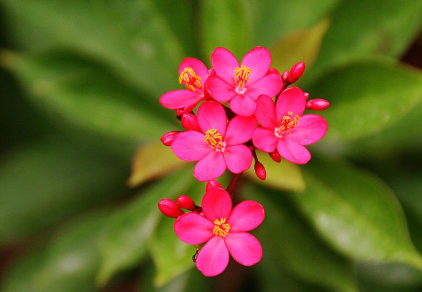 能力出众气质出色的星座值得拥有,学习能力最强的星座前5名排名