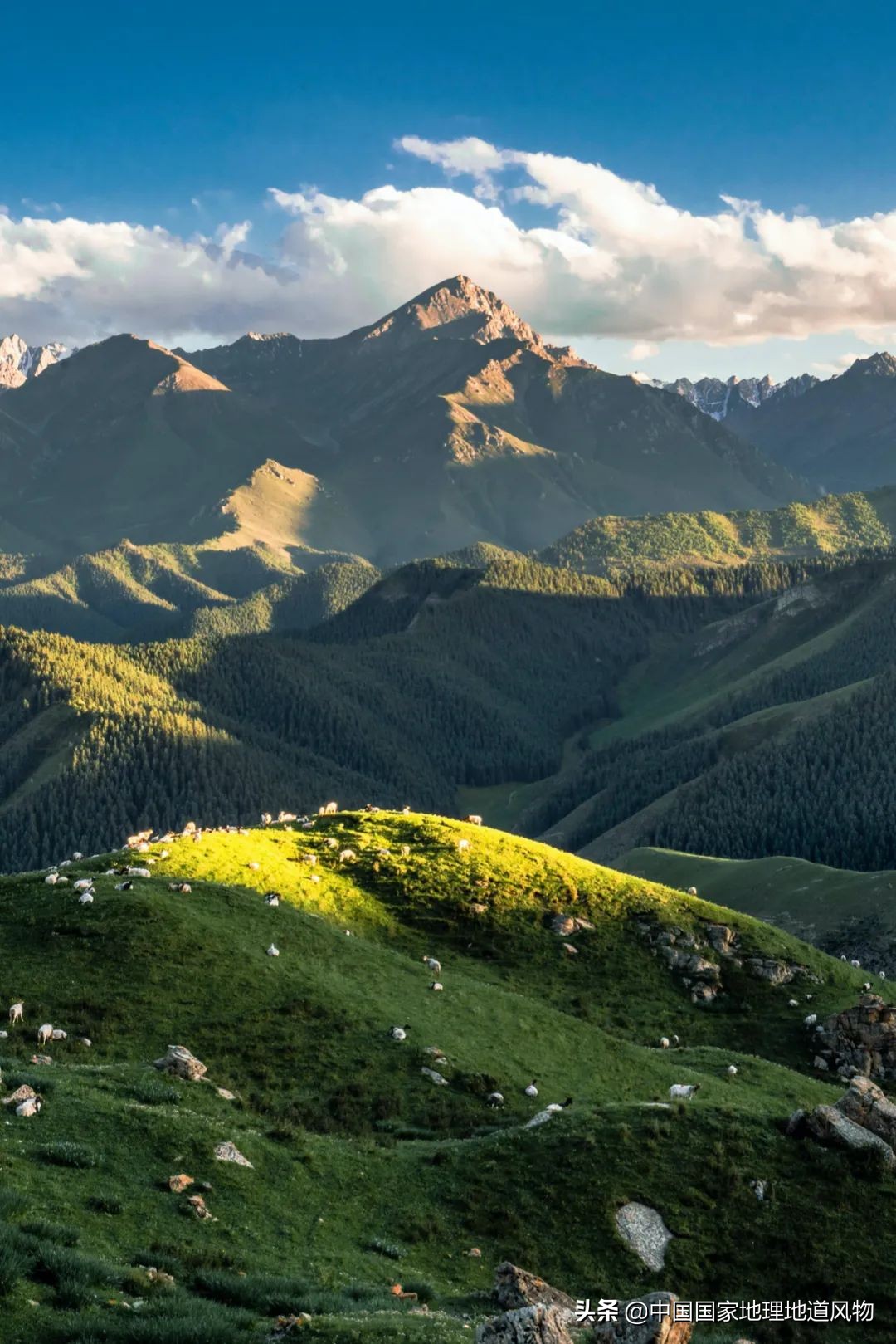 甘肃武威富裕吗,武威威武完整版