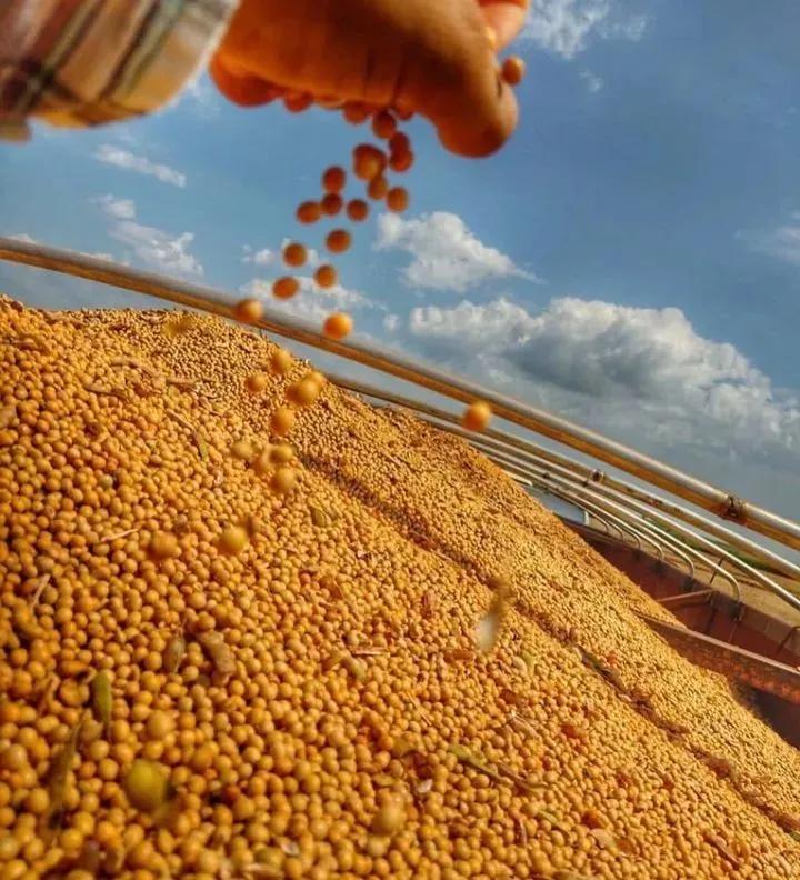 用钱去做农业会怎样,去农村搞种植业投资怎样做最好