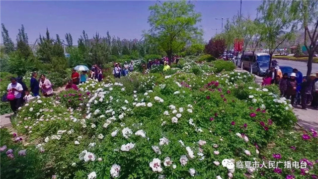 文旅旅游资讯,文旅报道兰州