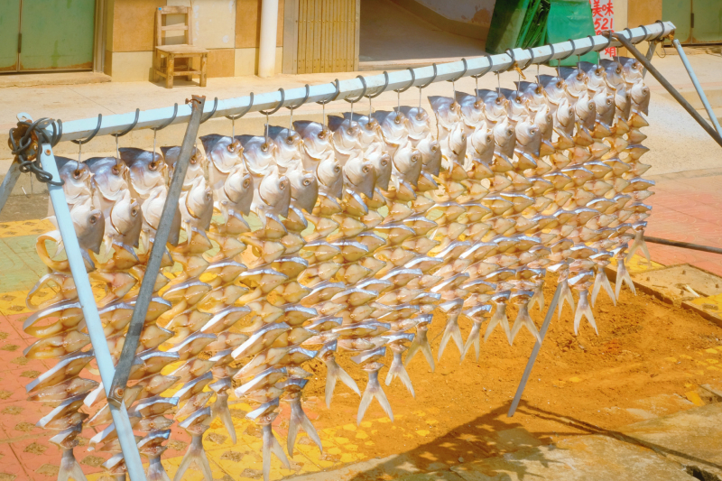 湛江遂溪角头沙旅游攻略,湛江江洪镇旅游攻略