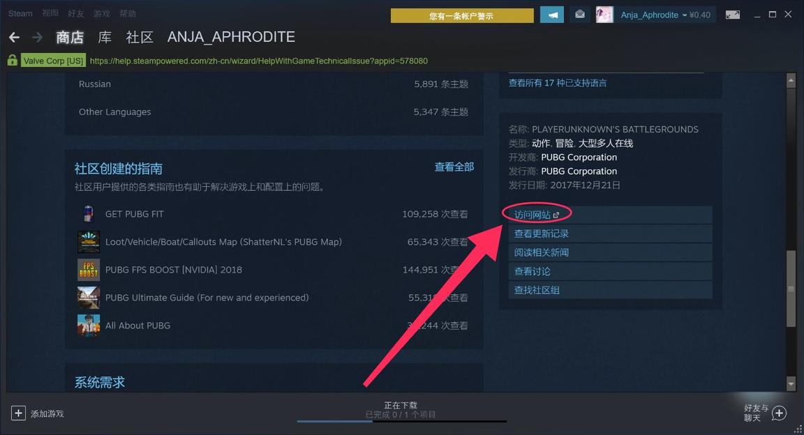 pubg被盗号后永久封禁在哪申诉,pubg开发者永久封禁能申诉回来吗