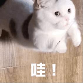 疟疾导致贫血的原因,疟疾会导致白细胞偏高吗