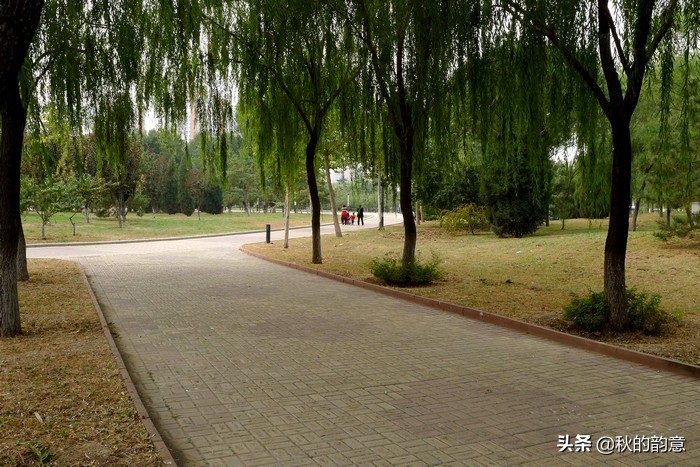 水上森林乐园景点,北京朝阳太阳宫附近免费游玩