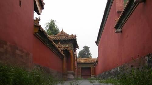 故宫中的冷宫在哪里？打入冷宫的妃子有什么样的遭遇？