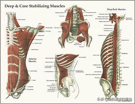 游泳完腰疼是什么原因,游泳时候腰痛