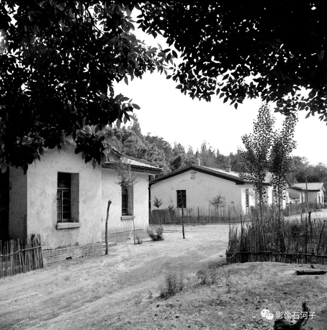 珍贵老影像大全,新疆珍贵老影像