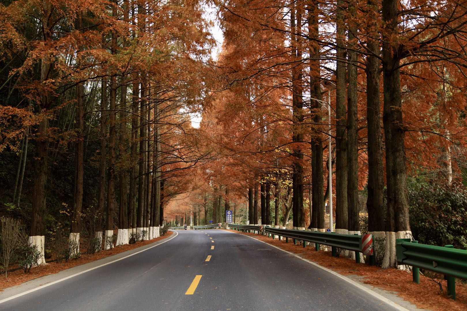 黄山各个景区名称,安徽黄山就是徽州吗