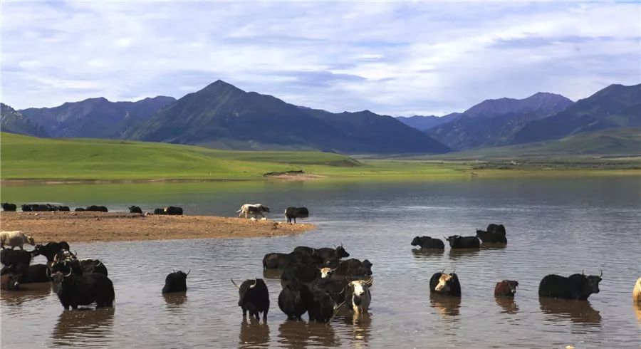 祁连山金塔寺,祁连山宝塔