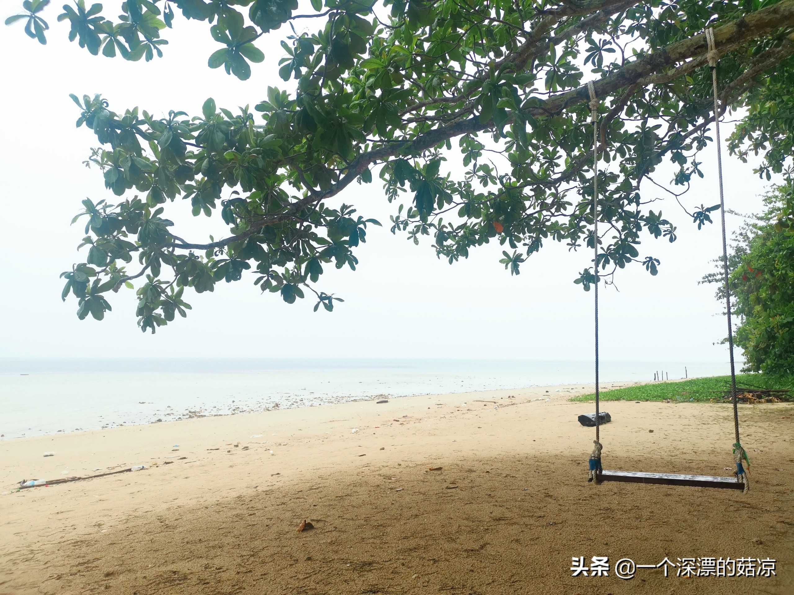 在夏天结束前去海边,在夏天结束之前去一次海边