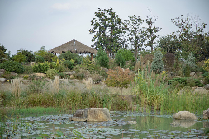 春有百花秋有月景点在哪,九龙湾花彩小镇醉美公园