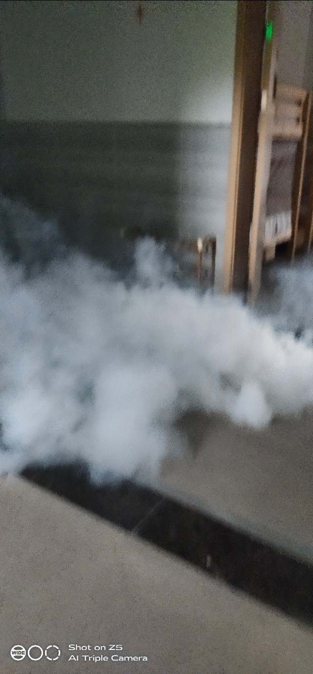 惠州上门灭白蚁公司推荐,惠州专业白蚁灭杀公司