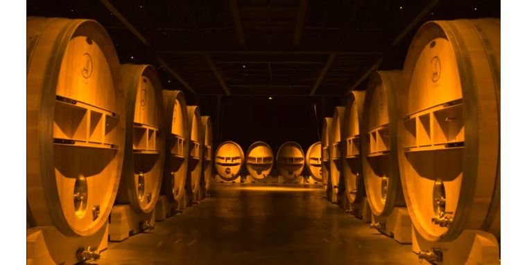 红酒中的“陈道明”，拉菲的产地---波雅克