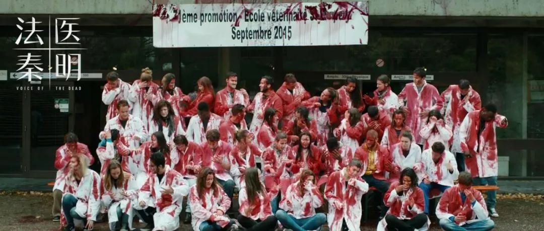 2019年影响力最高的十篇更新，最让你感到震撼的是哪一篇？