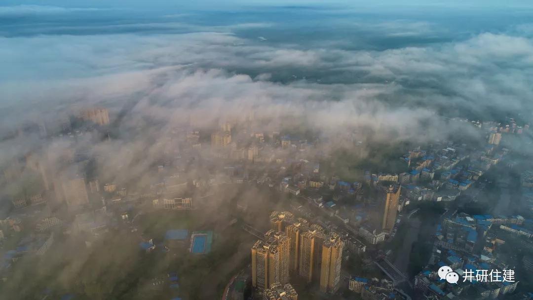 井研最新事件,井研县昨天发生的事