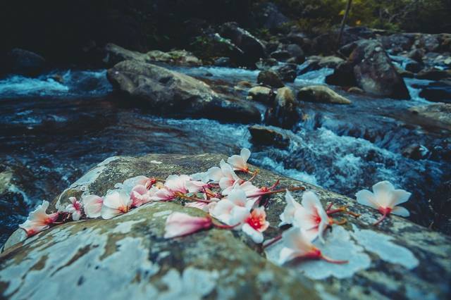 晏殊唯美的宋词,晏殊燕归来经典诗句