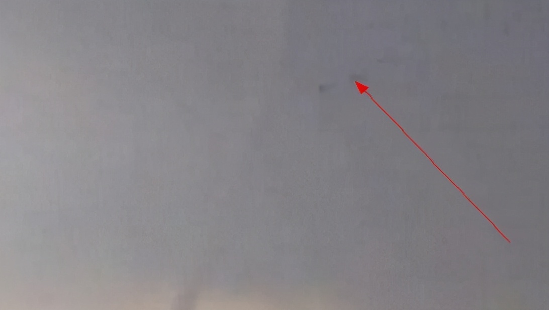 世上真的有龙吗2016,世上真的有龙吗电影