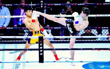 昌平未来五年的发展,昌平未来五年