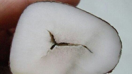 自学木艺雕刻工具,自学木雕工具