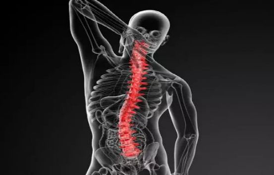 别被骨质疏松吓着了，记住这3条妙计，或能助你“凯旋而归”