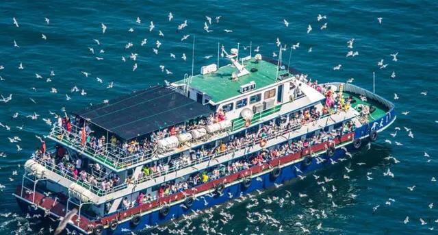 双循环新发展格局提出时间,双循环新格局