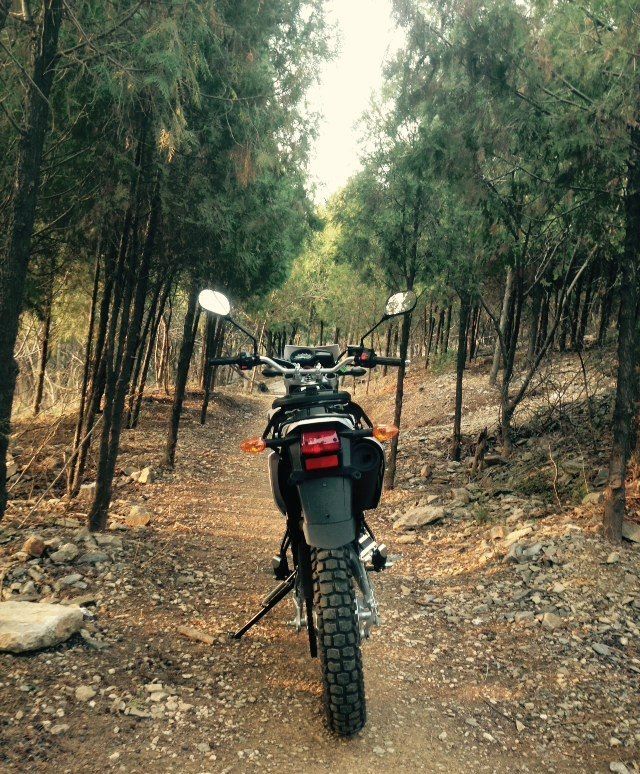 雅马哈小兔子125越野,雅马哈小兔子xtz125