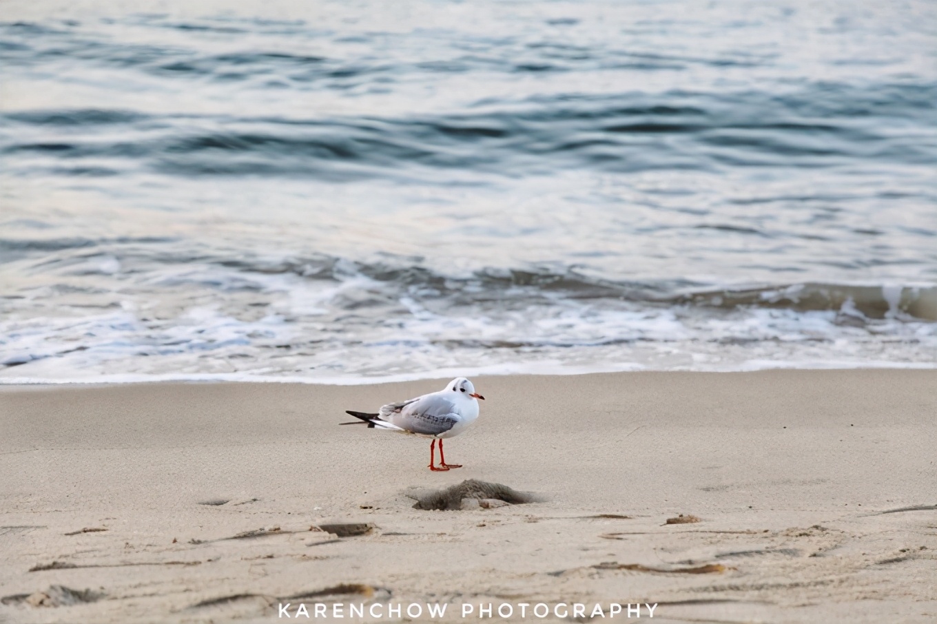 韩国安东美食,韩国釜山必游胜地