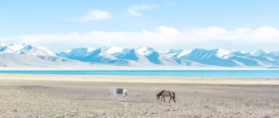 布达拉宫罗布林,布达拉宫罗布林门票