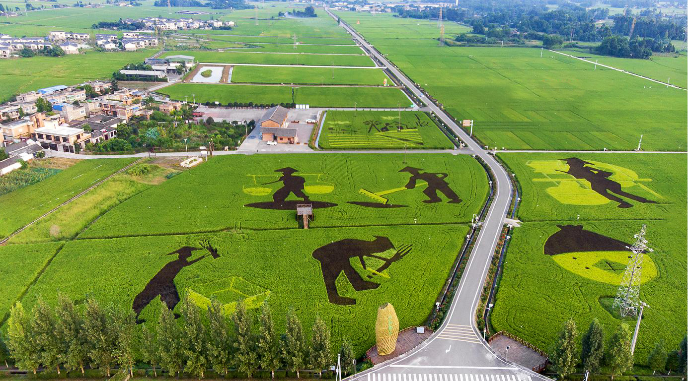 田坤道生态粮油店怎么进货,河北省田坤道粮油店现状