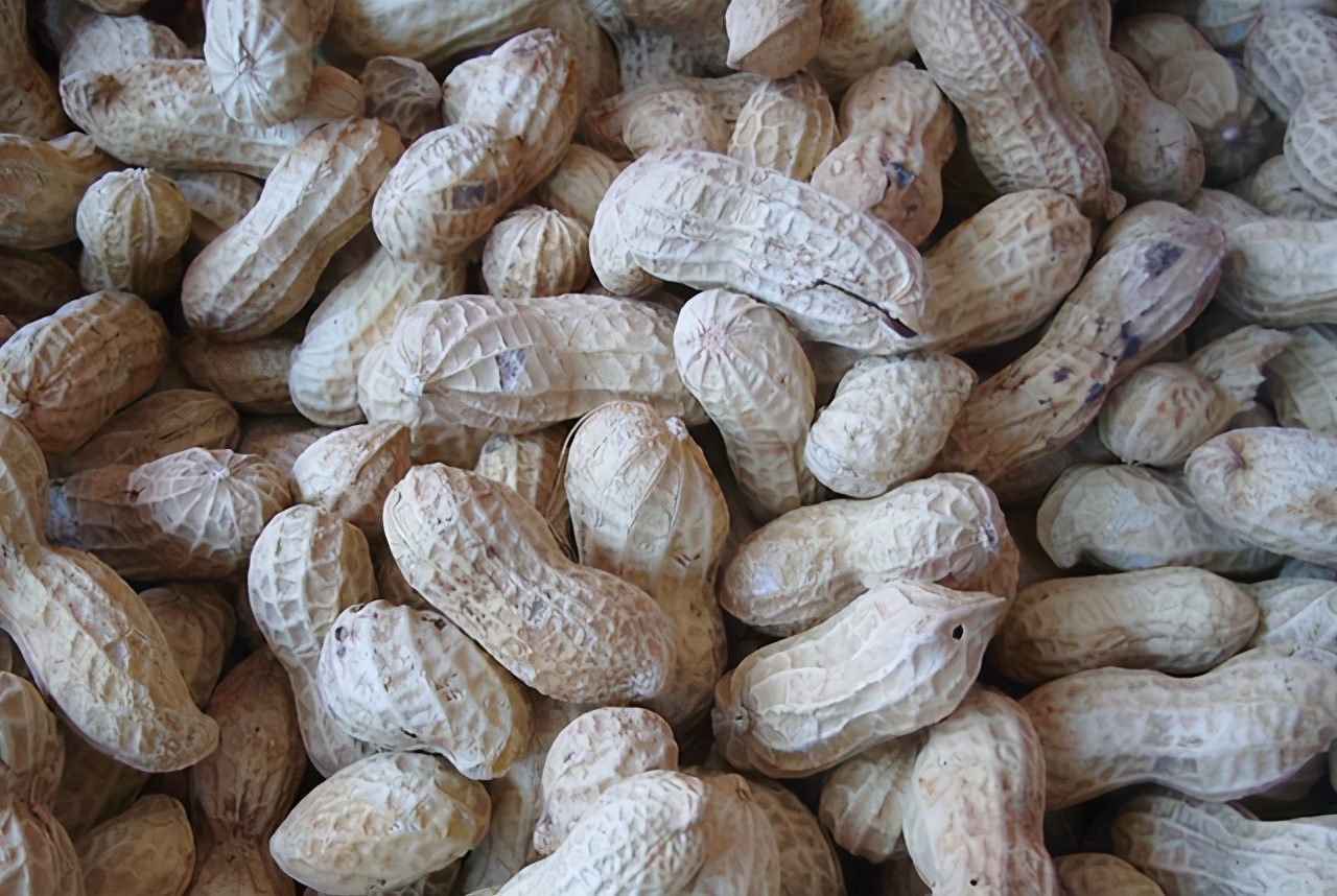 生花生10块钱一斤,摆摊五香花生多少钱一斤