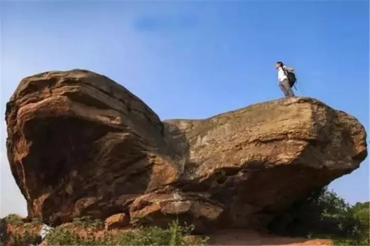 隐世原乡,又见桐花开。