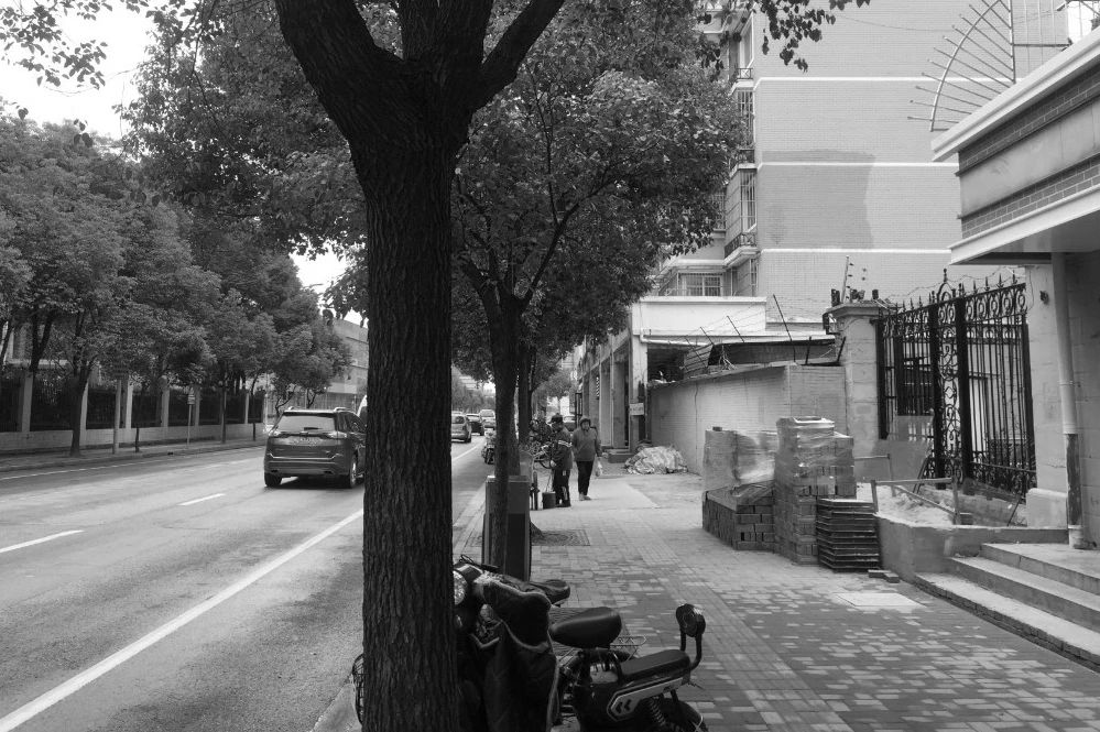 变美、变慢、变温柔,彭浦镇25条街集体宜人化是怎么做到的