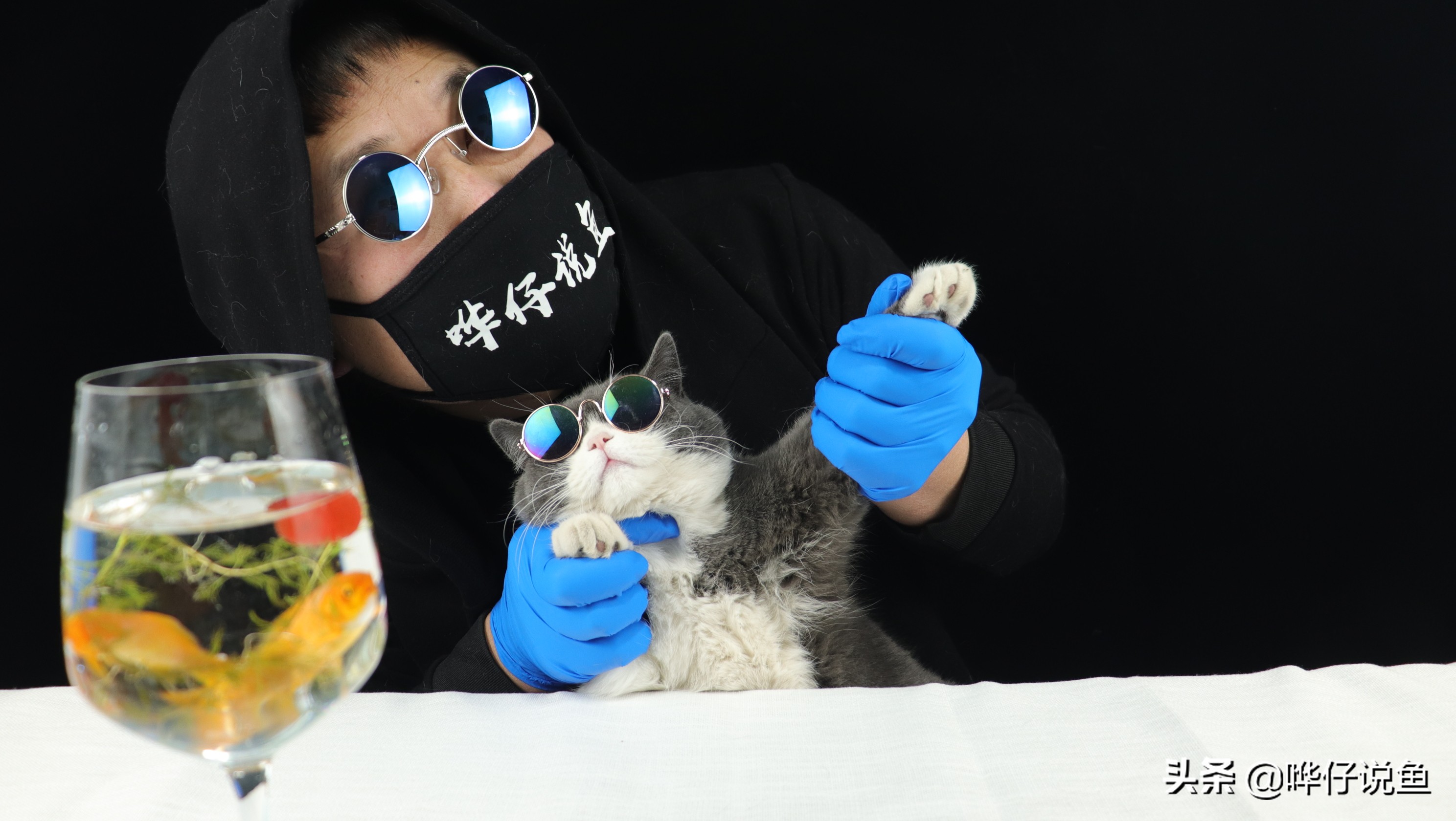 怎样自己给热带鱼培养硝化细菌,培养硝化细菌就能养好鱼吗