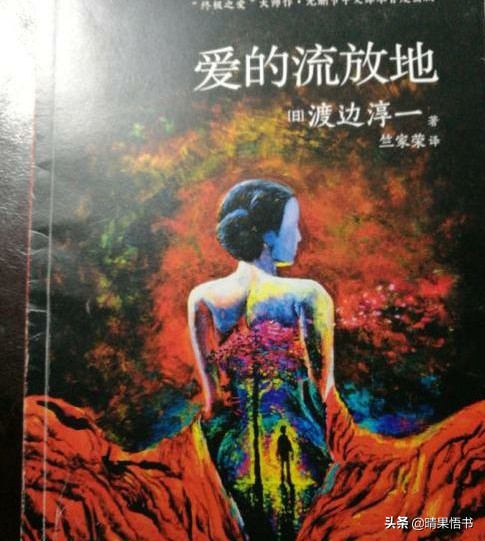 爱的流放地是什么小说,爱的流放地小说