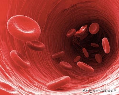 海奥华预言黄种人起源文明,《海奥华预言》人类的起源