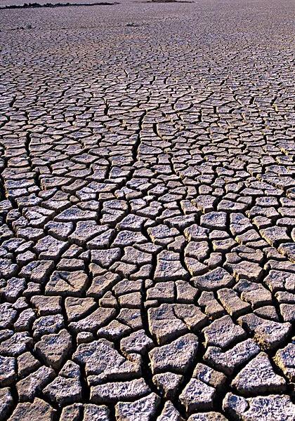 物种的起源视频,物种的起源