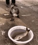 “兄弟睡觉压得胳膊都变色了，要不要叫醒他？”醒来一定很酸爽