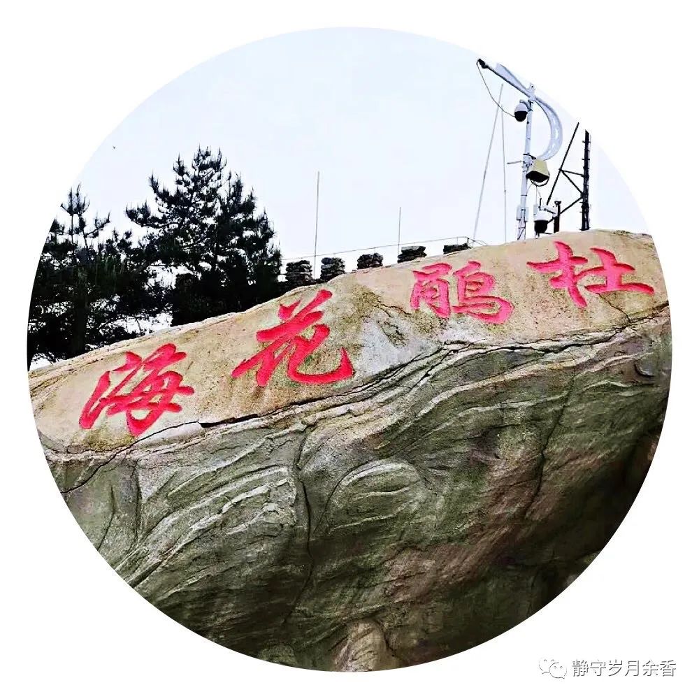 情满龟峰·诗涌花海