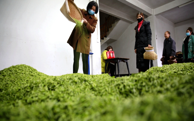 疫情防控同心战,疫情防控举国同心共同战疫