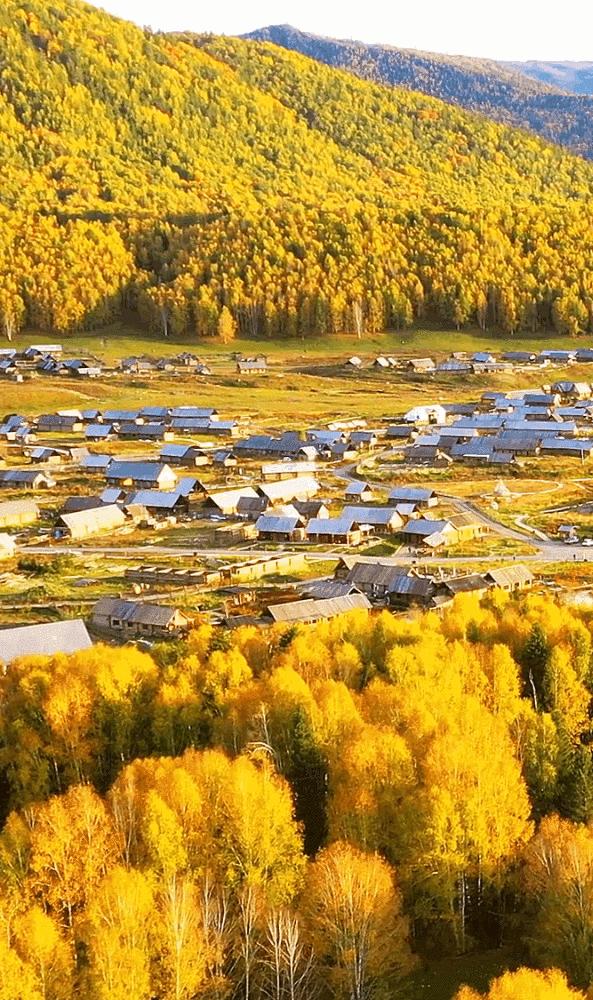 如果你不了解现实你就去看历史,如果你不了解历史就无法展望未来