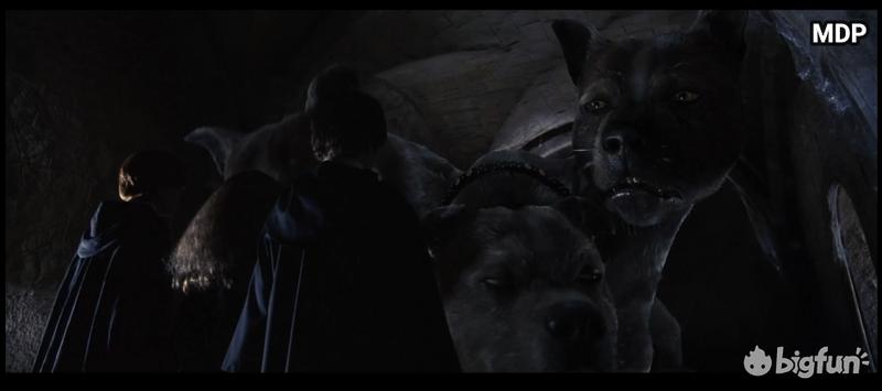 地狱三头犬特征,地狱三头犬代表什么