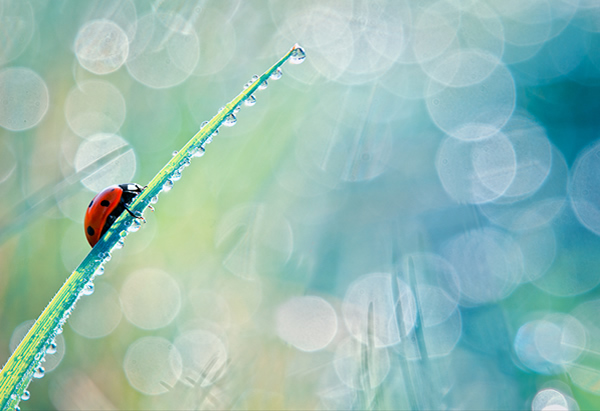 照片非常不清晰怎么办,照片平淡怎么调色