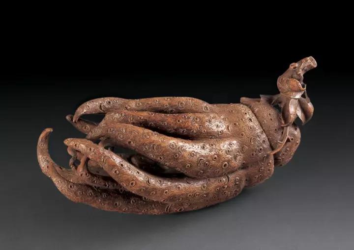 佛手只长叶不开花,佛手只有一种果子