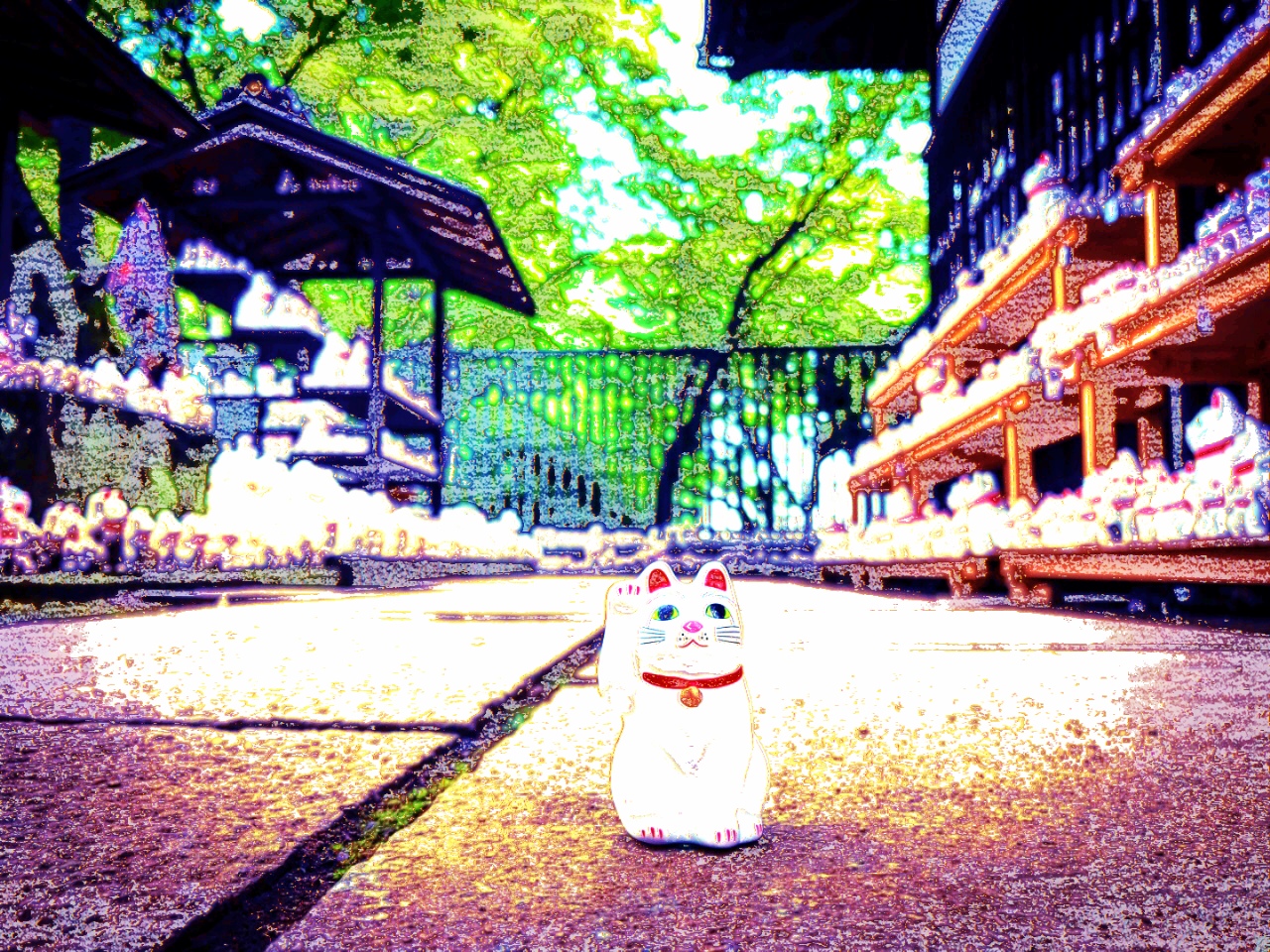 你家猫是招财猫吗,招财猫为什么要叫做招财猫