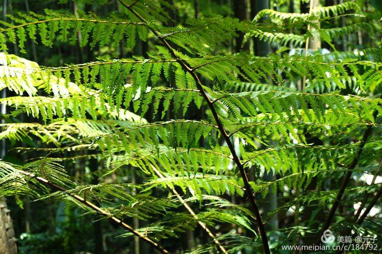 难忘贵州歌曲筒谱,难忘贵州歌曲
