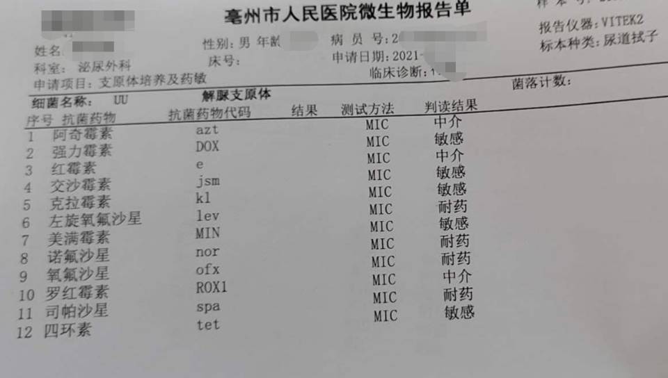 无法根治的解脲支原体,无法治愈的解脲支原体