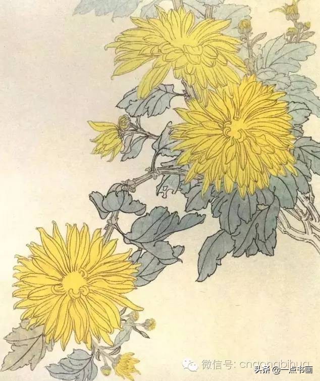 工笔画菊花入门教程步骤图,黄色工笔菊花的上色过程